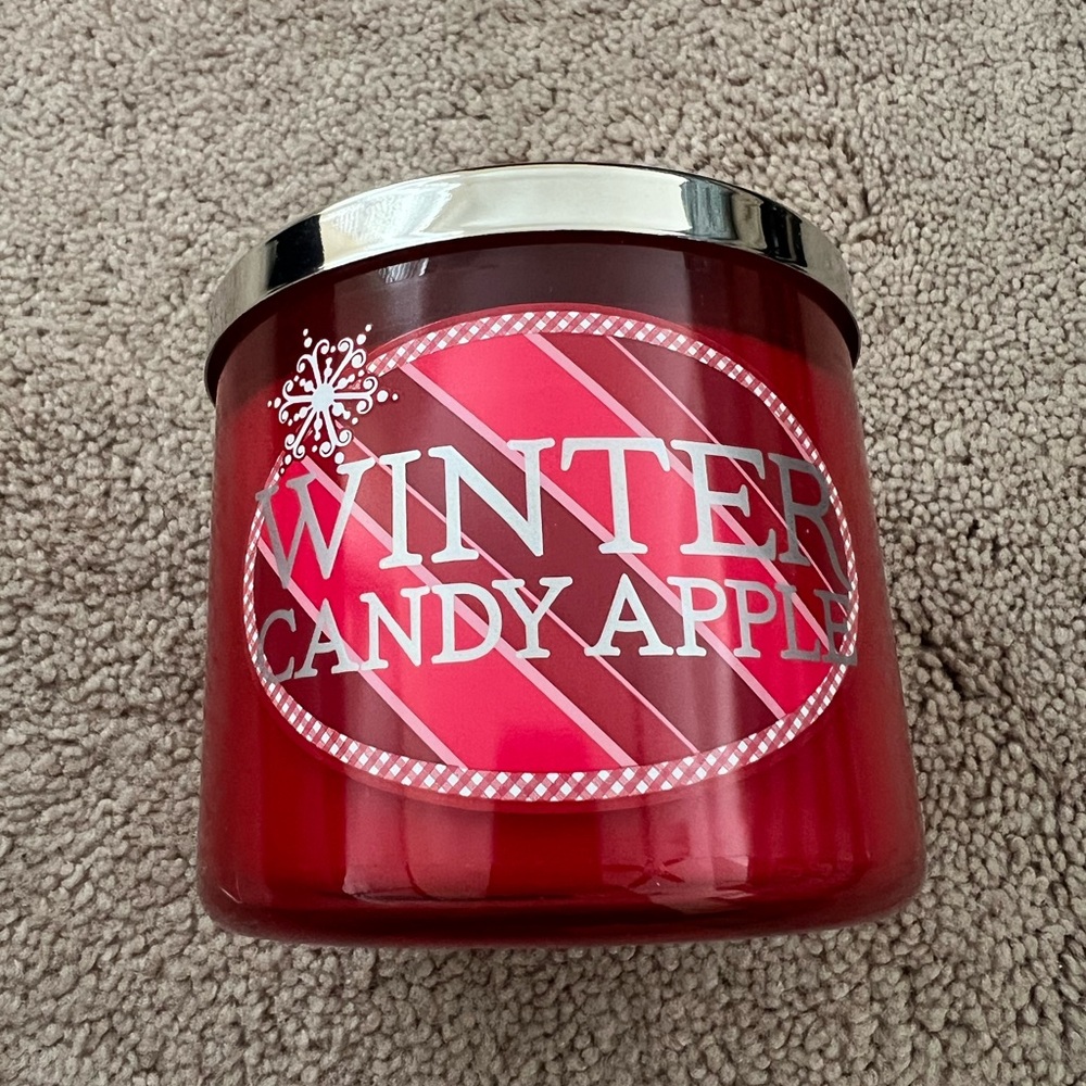 Slatkin & co Winter Candle Apple - 3 wick candle - 14.5oz NWT